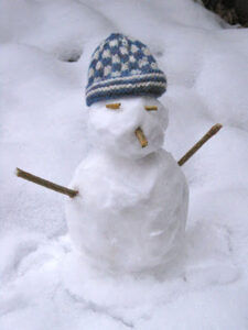 Read more about the article Snowtwig